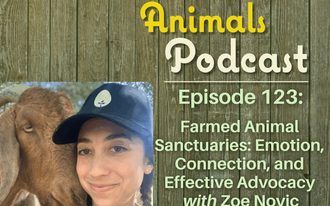 Episode 123: Farmed Animal Sanctuaries, Emotion, Connection, and Effective Advocacy with Zoe Novic