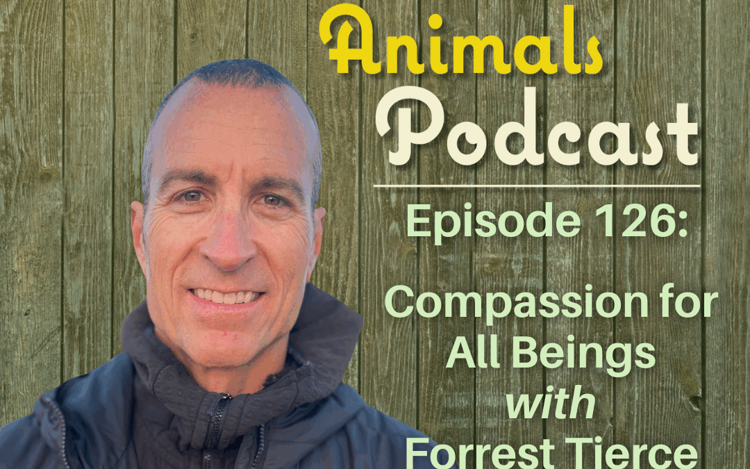 Episode 126: Compassion for All Beings with Forrest Tierce