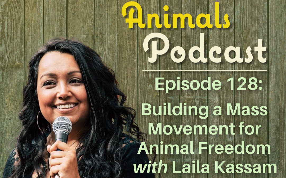 Episode 128: Building a Mass Movement for Animal Freedom with Laila Kassam