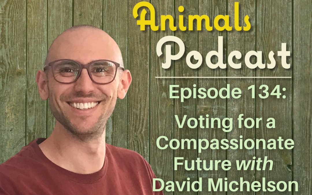 Episode 134: Voting for a Compassionate Future with David Michelson