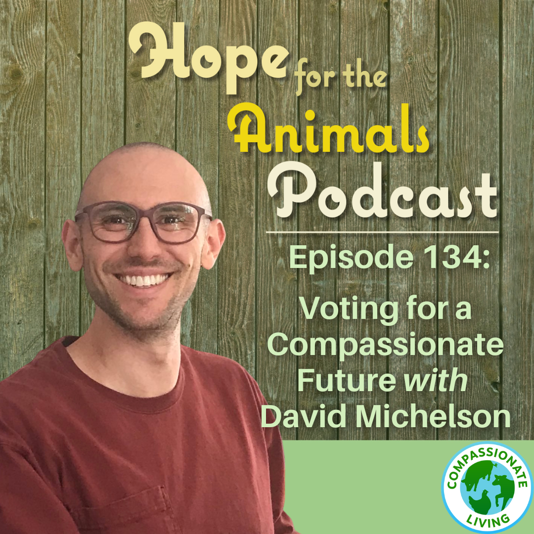Episode 134: Voting for a Compassionate Future with David Michelson