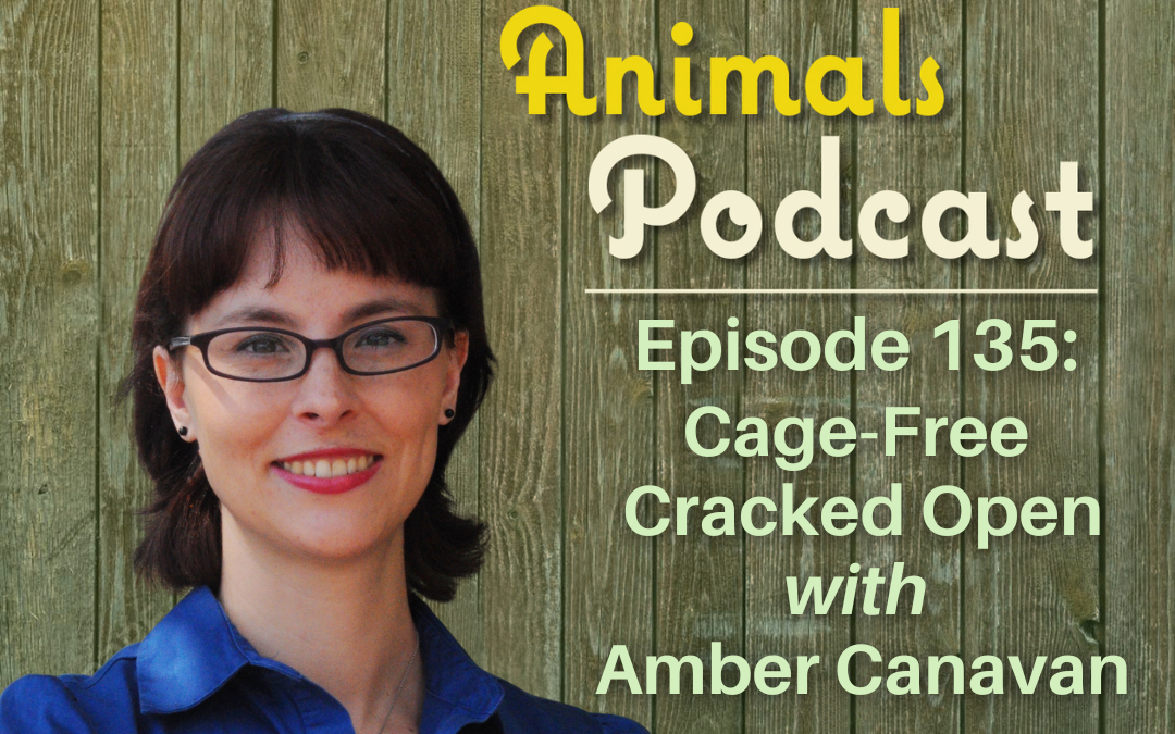 Episode 135: Cage-Free Cracked Open with Amber Canavan