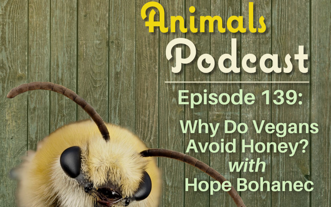 Episode 139: Why Do Vegans Avoid Honey? with Hope Bohanec