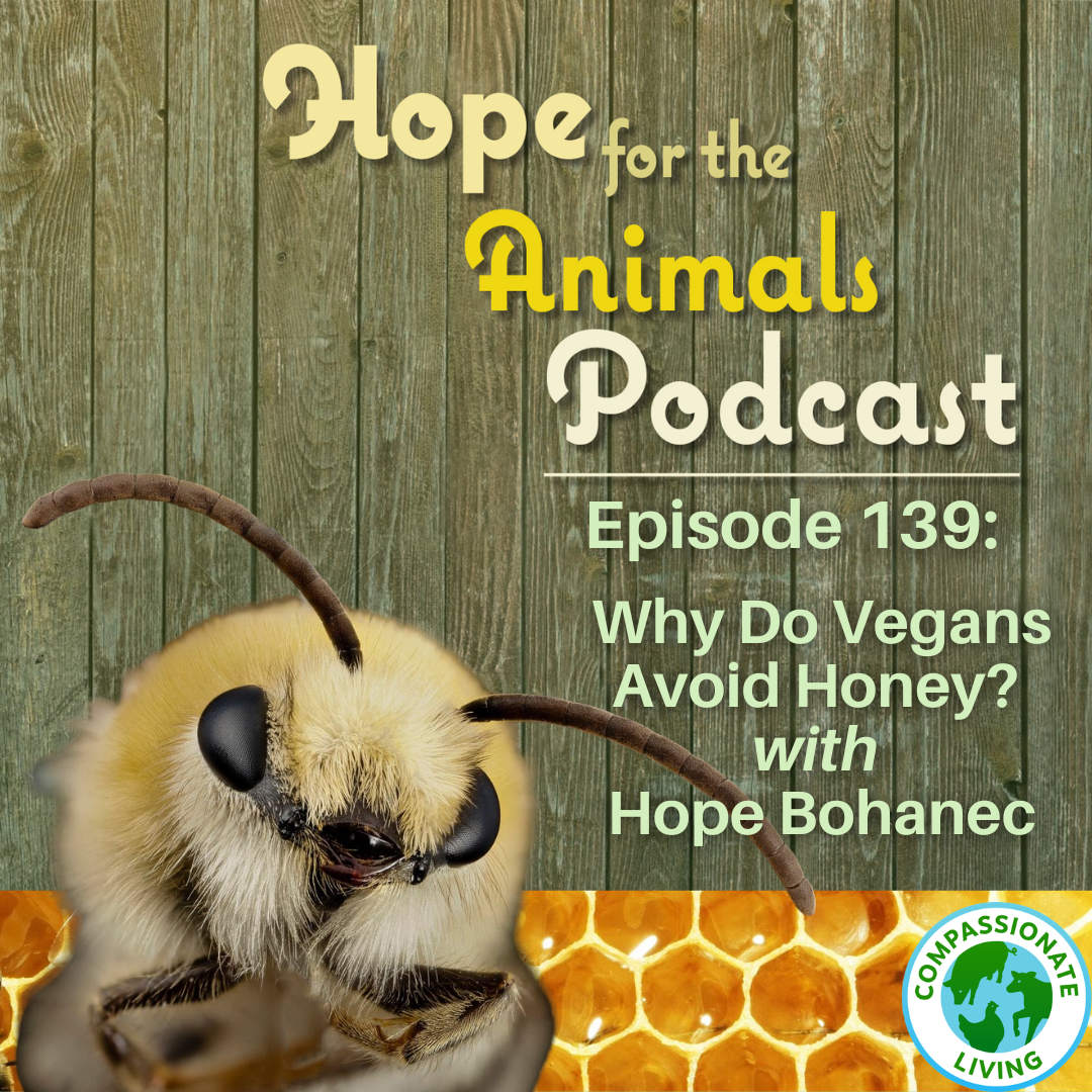 Episode 139: Why Do Vegans Avoid Honey? with Hope Bohanec