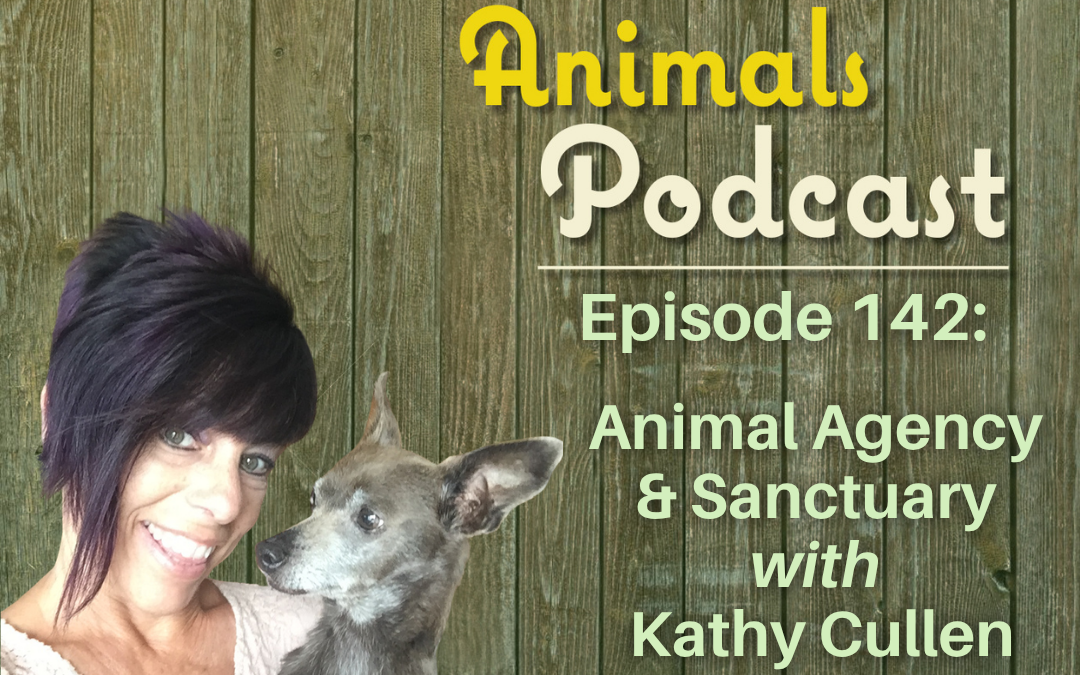 Episode 142: Animal Agency and Sanctuary with Kathy Cullen