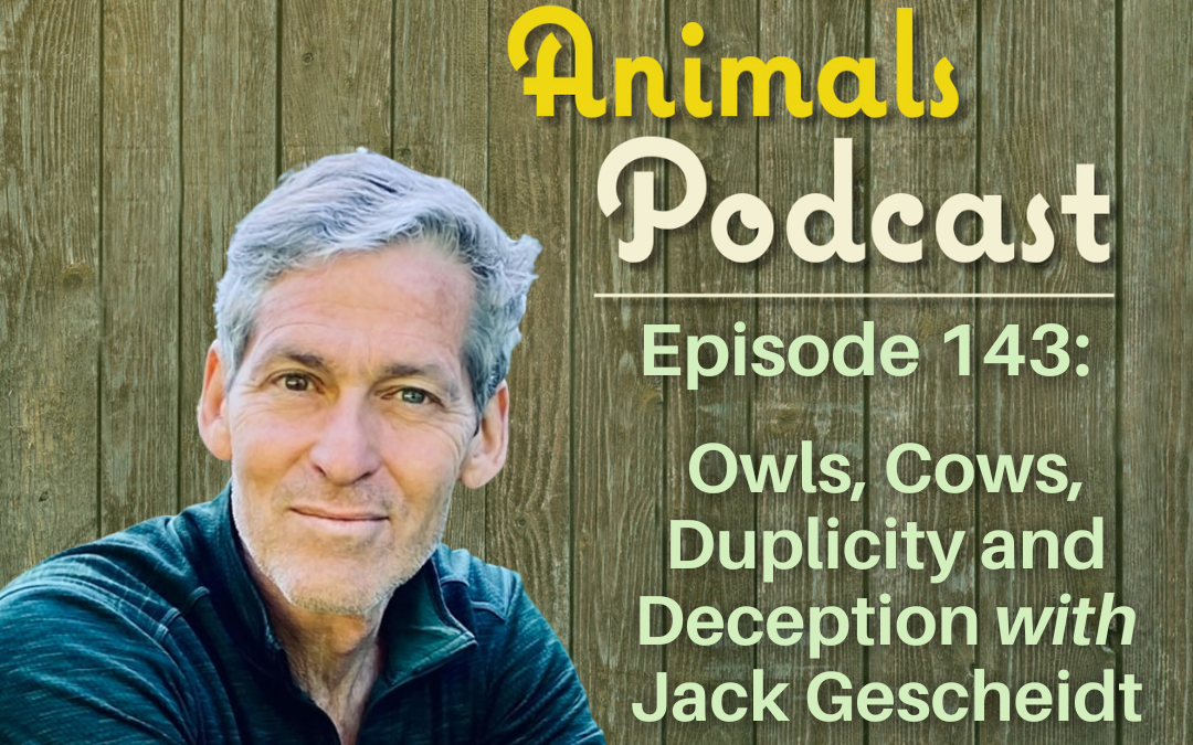 Episode 143: Owls, Cows, Duplicity and Deception with Jack Gescheidt